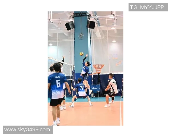 排球技术排行榜揭晓上海排球队荣获第七名展现实力与潜力