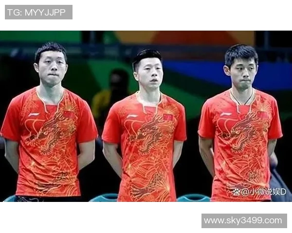 西安乒乓球队团队协作模式深度剖析与其他球队的比较研究